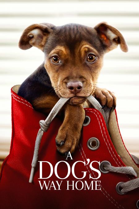 A Dog%27s Way Home Tamil Dubbed 2019