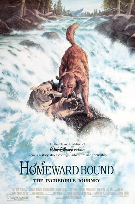Homeward Bound 1: The Incredible Journey Tamil Dubbed 1993
