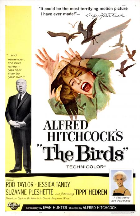 The Birds Tamil Dubbed 1963